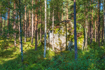 Glacial erratic rock in a forest