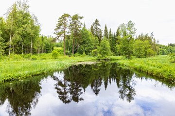 Fototapeta na wymiar Lake with water reflections at a forest