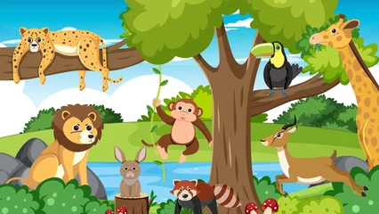 Cute wild animals in the forest © blueringmedia