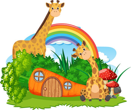 Giraffe group with carrot house