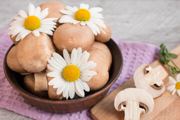 Gray mushrooms are champignons in a basket. Decorated with field daisies