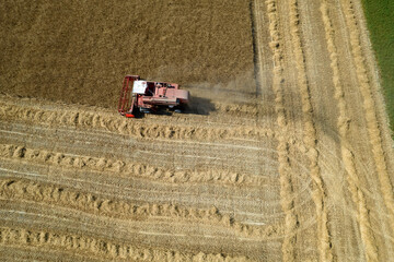 The work of a wheat harvester in the summer