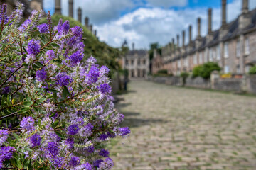 Vicars Close, Wells