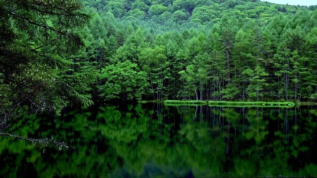 新緑の御射鹿池