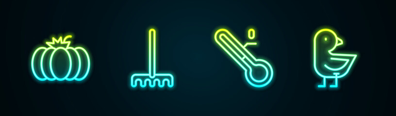 Set line Pumpkin, Garden rake, Meteorology thermometer and Little chick. Glowing neon icon. Vector - obrazy, fototapety, plakaty