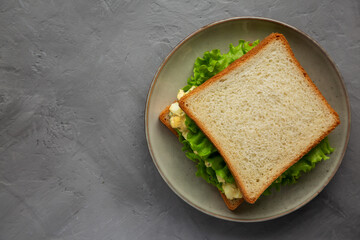 Homemade Egg Salad Sandwich with Lettuce on a Plate, top view. Flat lay, overhead, from above. Space for text.