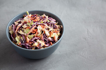 Homemade Coleslaw with Cabbage and Carrots in a Bowl, side view. Copy space.