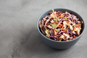 Homemade Coleslaw with Cabbage and Carrots in a Bowl, low angle view. Copy space.