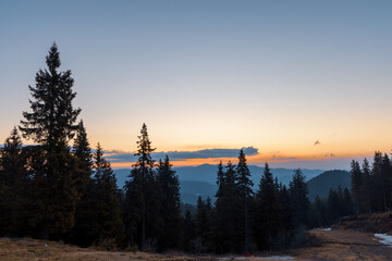 Silhouettes of fir trees in the mountainous valley of the Rhodope Mountains against the background of a sunset sky