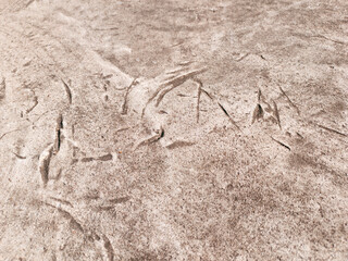 Classic gray concrete floor used to decorate the background.