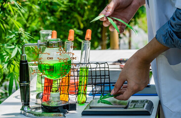 Obraz premium Woman specialist making the quality test of onsite cannabis lab test weight and take note for the best result. Quality control concept.