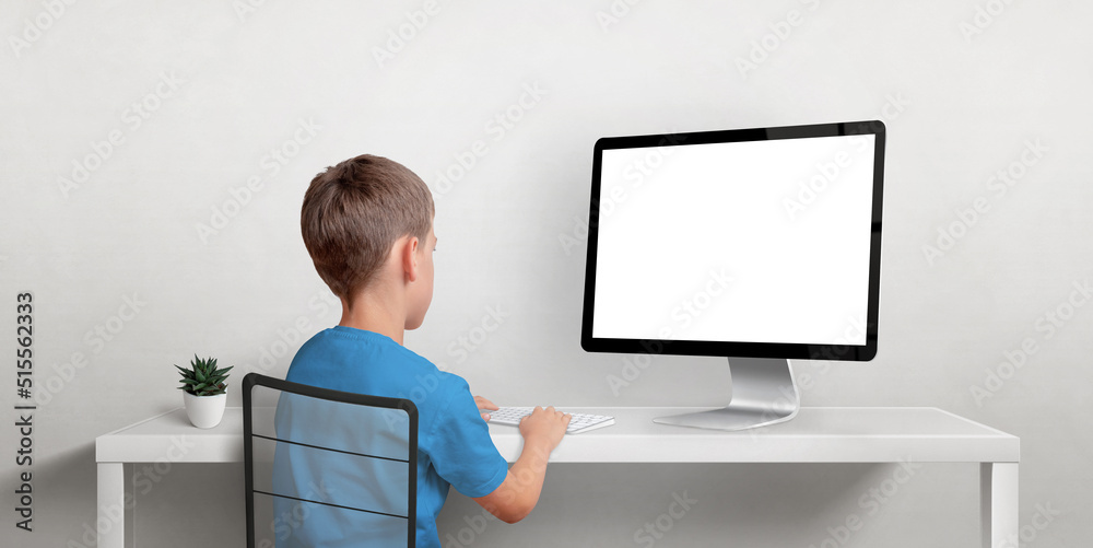 Poster boy working on the computer mockup. isolated displaz screen for web page promotion. back view of boz