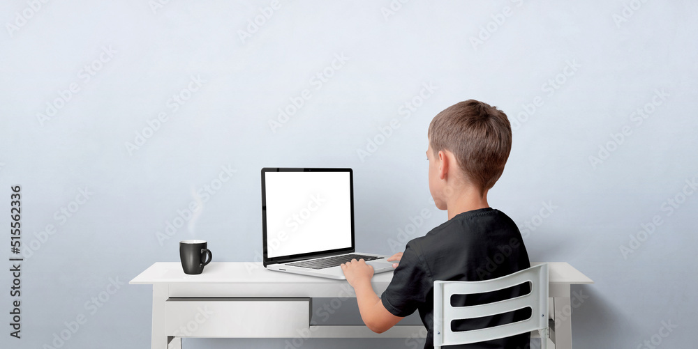 Leinwandbilder Young boy working on the laptop computer. Notebook with isolated display for web page promotion. Back view with copy space on wall