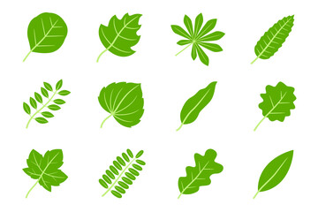 Collection of green leaves flat icon vector, nature concept vector illustration isolated on white background.