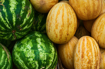 Watermelons and melons are on the same counter