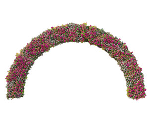 Flower arch on white background