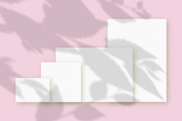 Several horizontal and vertical sheets of white textured paper against a pink wall background. Mockup with an overlay of plant shadows. Natural light casts shadows from a branch of tree