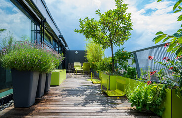 Rooftop terrace over southern Vienna - rooftop garden with lavender and an apple tree and green outdoor furniture