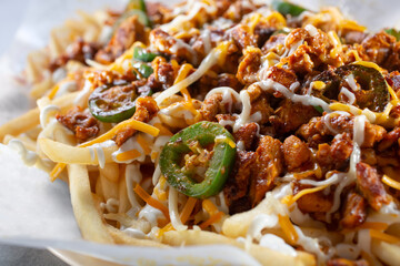 A view of a plate of loaded fries.