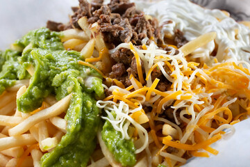 A closeup view of carne asada fries.