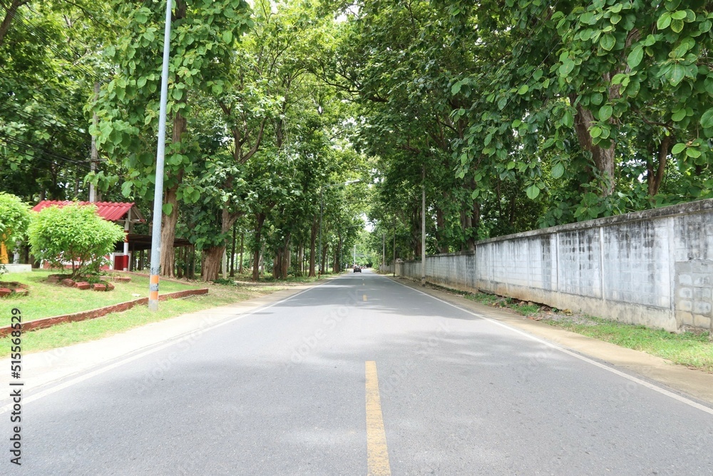 Poster road in the forest