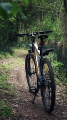 Fototapeta na wymiar bike in the forest