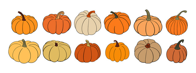 Big set of various hand drawn pumpkin squash in warm natural fall colors isolated on white. Vector illustration - autumn, Halloween, Thanksgiving design elements. Rustic cottagecore collection