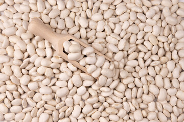 background of white kidney beans close up, top view