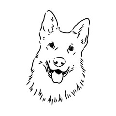 Obraz premium pedigree dog drawn in ink by hand without a background