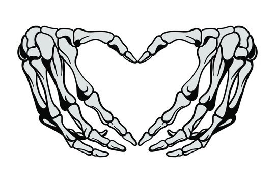 Skeleton hands howing heart shape. T-shirt print for Horror or Halloween. Hand drawing illustration isolated on white background. Vector EPS 10