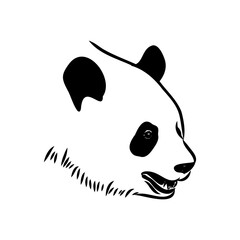 Vector realistic sketch of Panda figure in full-length, Hand drawn illustration