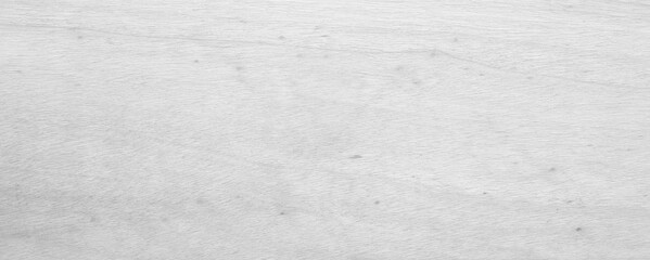 White wood surface natural texture background