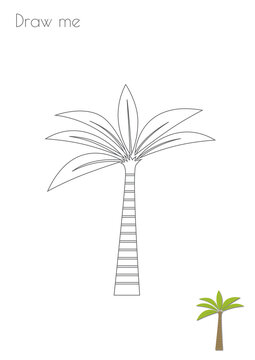 Simple Outline Stroke Exotic Palm Tree Shape Silhouette Photo Drawing Skills For Kids A3/A4/A5 suitable format size. Print it by yourself at home and enjoy!