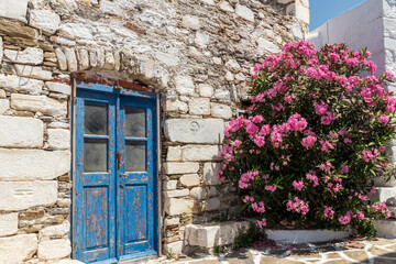 Paros. Greece. 06-05-2022. Flowers in the street at Paros. Cyclades Islands Greece.