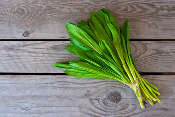 A bunch of fresh wild garlic leaves on a wooden background. Free space for your text