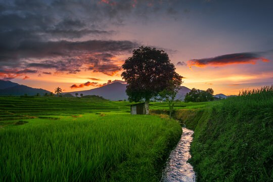 Indonesia Nature panorama of green rice fields and flowing water in the mountains of rural area of Indonesia with sunrise