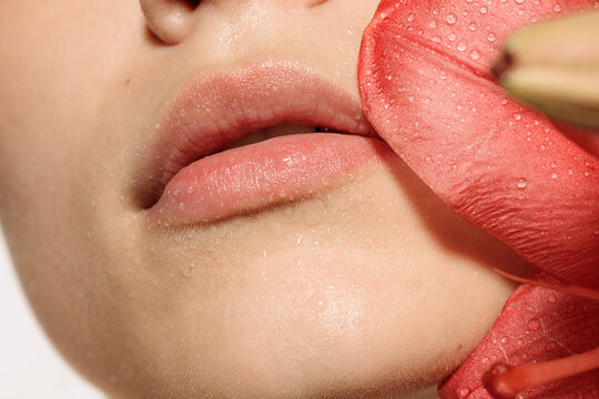 Closeup female lips and pink rose petals isolated over white studio background. Concept of cosmetology, skincare, cosmetics, plastic surgery, ad