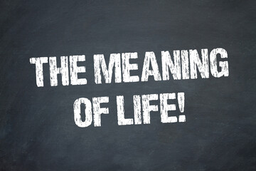 The meaning of life!