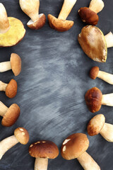 fresh white mushrooms are laid out in an oval against a dark background with light stains and an...