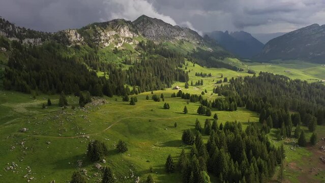 Perfect light shinning over a meadow in the french alps