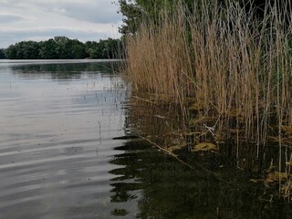 Landscape on the Lake 