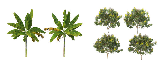 Many trees on a white background