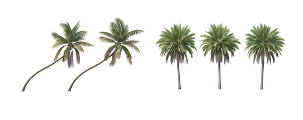 Many trees on a white background