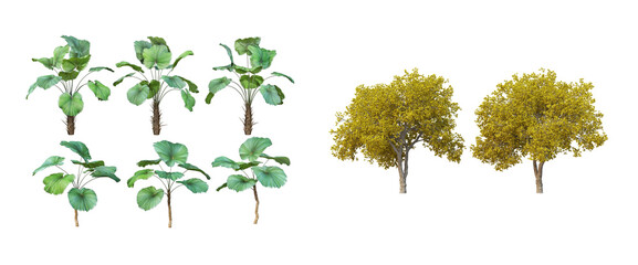 Fototapeta premium Many trees on a white background