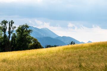 the island of Herreninsel in Bavaria, where the Herrenchiemsee castle is located