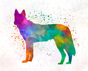 Czechoslovakian Wolfdog in watercolor