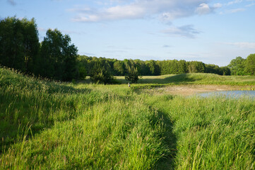 Stork flying over a meadow and a pond. Big bird that comes to Germany in spring