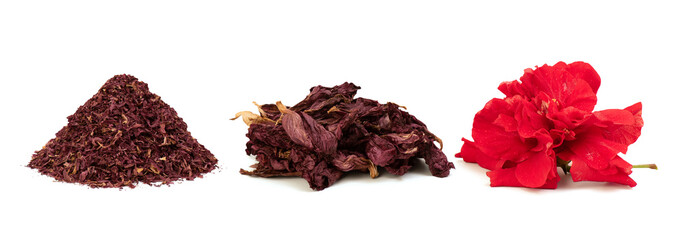 Hibiscus flower isolated on white background with clipping path. © wasanajai