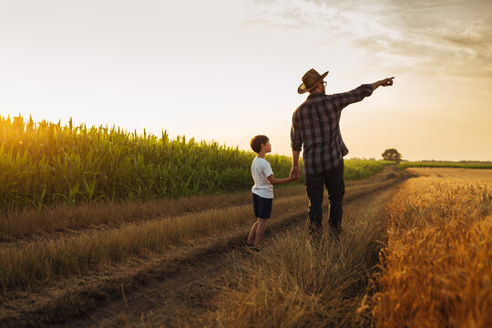 father and son holding hands walking in farmland