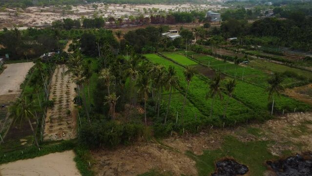 Farmlands of rural commune on suburbs on Phan Ri Cua, Vietnam, aerial view